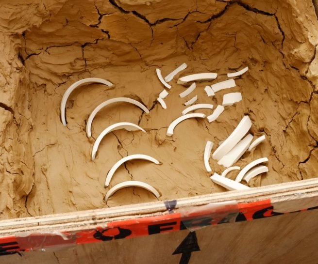 Discoveries Continued by Szilvia György