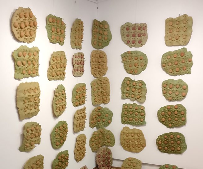 Szilvia Gyorgy, Surface of Thyme, installation view